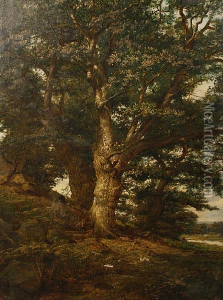 Oak In Bradgate Park Oil Painting - Arthur Hill