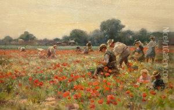 The Harvest Field Oil Painting - William Kay Blacklock