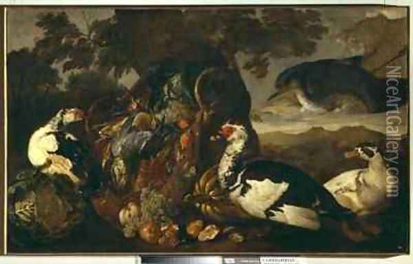 Still life and marsh birds Oil Painting - David de Coninck