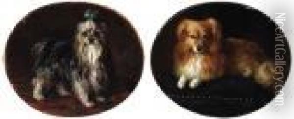 Yorkshire Terrier; And Miniature Collie Oil Painting - Landseer, Sir Edwin