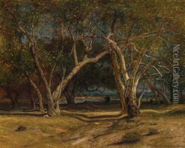 Landscape Near Santa Barbara Oil Painting - Samuel Colman