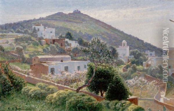 Landskap Med Bebyggelse - Capri I Sol Oil Painting - Carl (August) Johansson