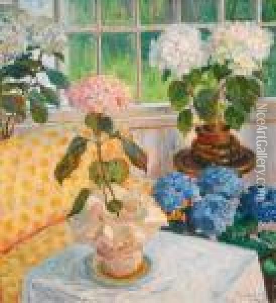 Hagestue Med Hortensia I Potter 1916 Oil Painting - Thorolf Holmboe
