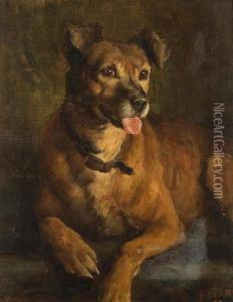 Portrait Of A Terrier Oil Painting - George Percy Jacomb-Hood