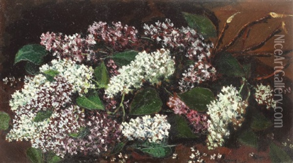 Lilac Twigs Oil Painting - Octav Bancila