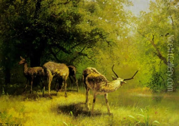 Feeding Grounds Oil Painting - Hermann Herzog