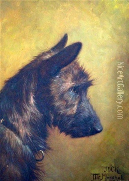 Portrait Of A Terrier Jock Oil Painting - John Fitzmarshall