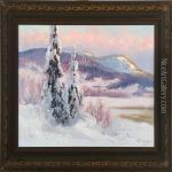 A Winter Landscape From Northern Sweden Oil Painting - Carl Brandt