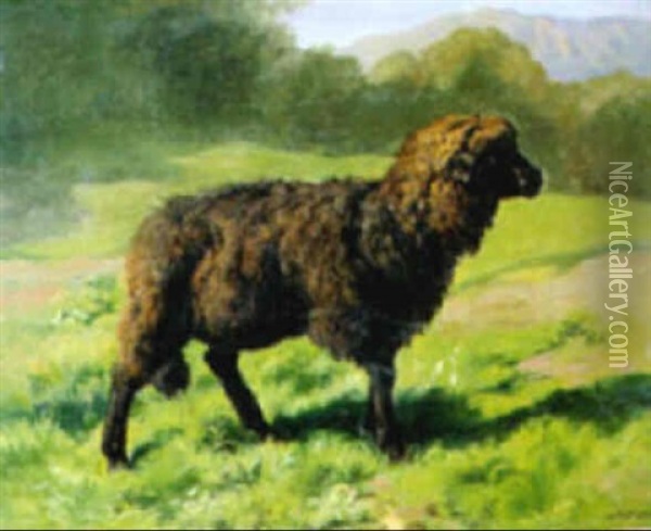 Braunes Schaf Auf Der Weide Oil Painting - Johann Rudolf Koller