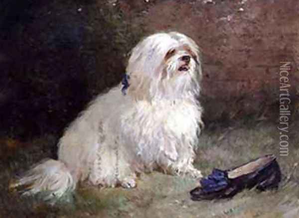 A Maltese Terrier Oil Painting - Heywood Hardy