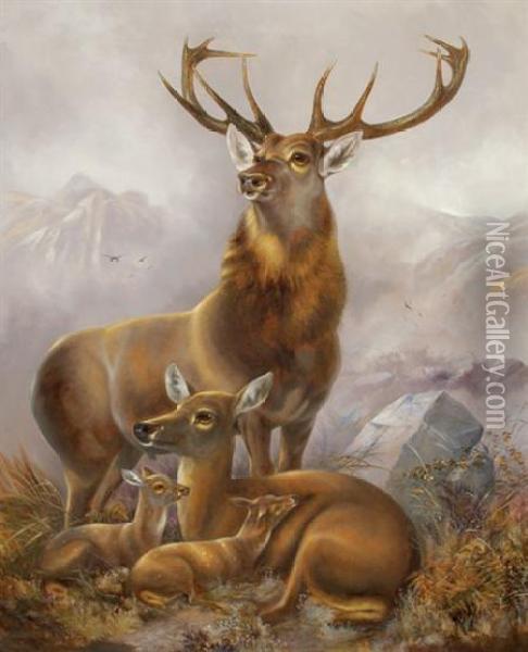 American, - Stag, Hind Andfawns, Circa 1850 Oil Painting - Arthur Fitzwilliam Tait