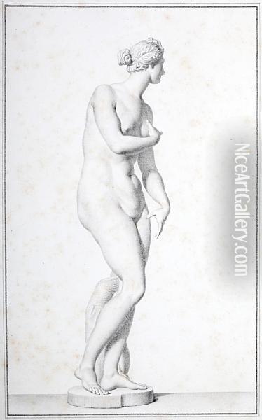 Study Of The Venus De Medici Oil Painting - Giovanni Domenico Campiglia