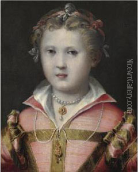 Ritratto Di Bambina In Abito Rosa Oil Painting - Girolamo Mazzola Bedoli