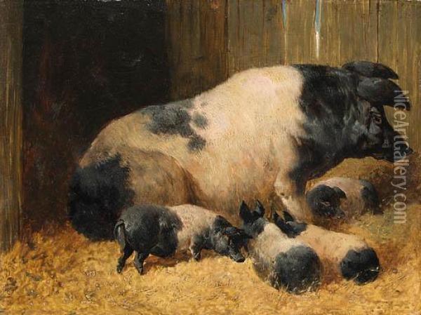 Berkshire Saddlebacks With Piglets In A Farmyard Oil Painting - John Frederick Herring Snr