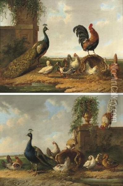 Poultry By A Ruin Oil Painting - Albertus Verhoesen