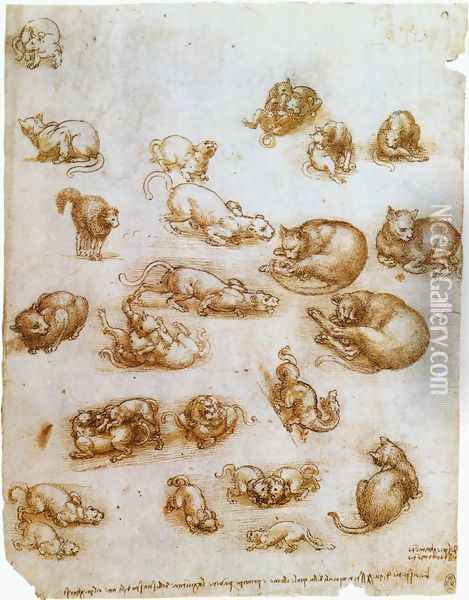 Study Sheet With Cats Dragon And Other Animals Oil Painting - Leonardo Da Vinci