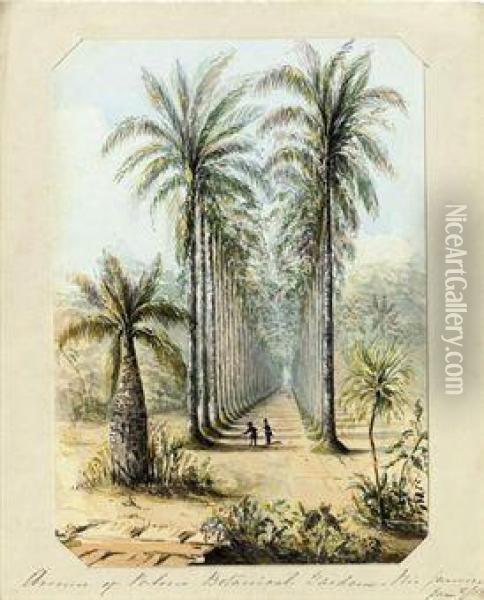 Avenue Of Palms Botanical Gardens - Rio De Janeiro Oil Painting - J.H. Butt
