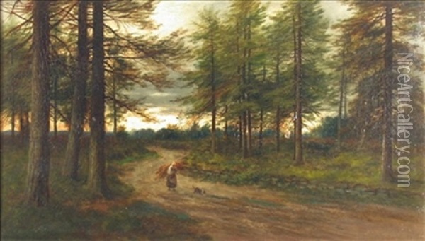The Forest Road, Glen Lednock, Perthshire Oil Painting - William Beattie Brown