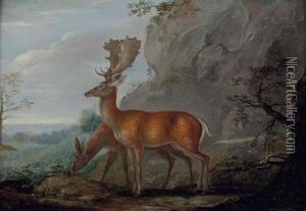 Damhirsch Und Hirschkuh In Landschaft Oil Painting - Anton Enzinger