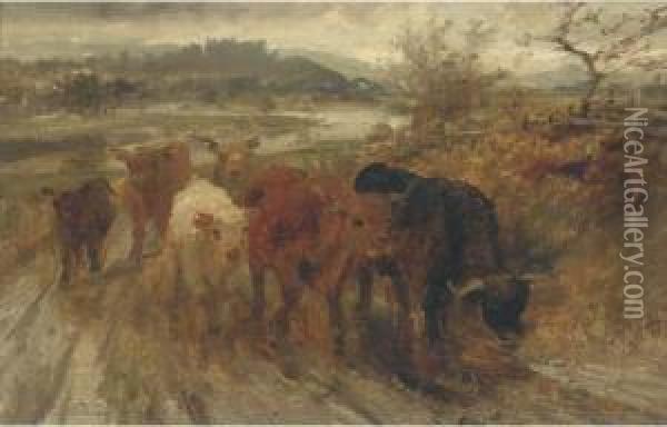 Cattle On A Track Oil Painting - Joseph Denovan Adam