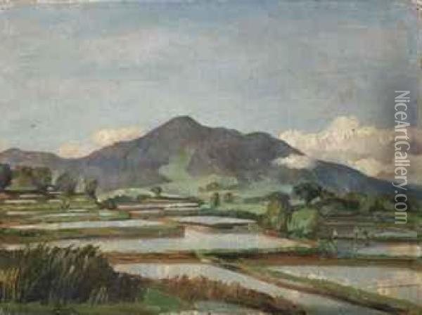Landscape With Rice Fields Oil Painting - Jan Frank Niemantsverdriet