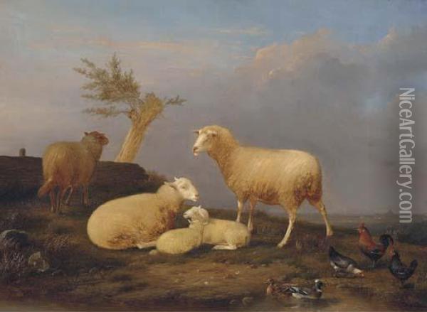 Sheep And Poultry At The Pond Oil Painting - Franz van Severdonck