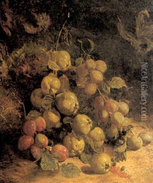 Pears, Plums And Greengages By A Mossy Bank Oil Painting - William Hough