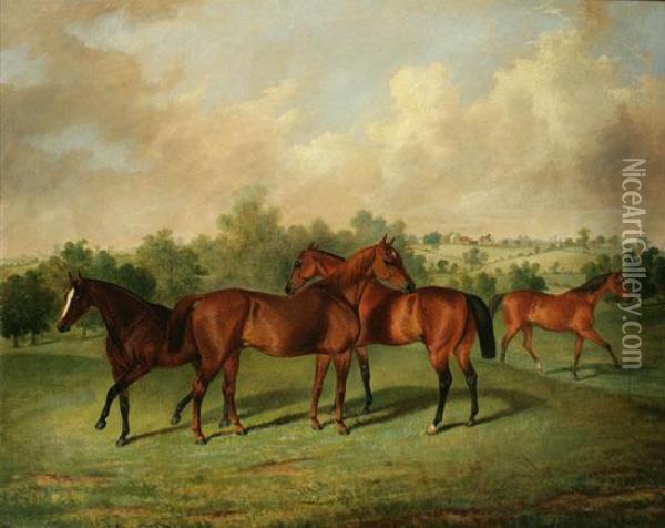 Horses In A Rolling Countryside Oil Painting - George Henry Laporte