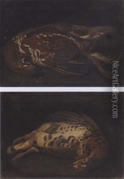 Study Of Grouse Oil Painting - Philipp Ferdinand de Hamilton