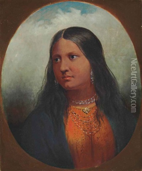 Portrait Of An Arikara Woman Oil Painting - Alfred Jacob Miller