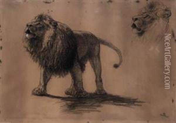 Lion Studies Oil Painting - Briton Riviere
