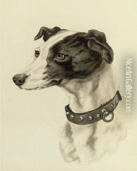 Portrait Of A Whippet Oil Painting - Edwin Loder