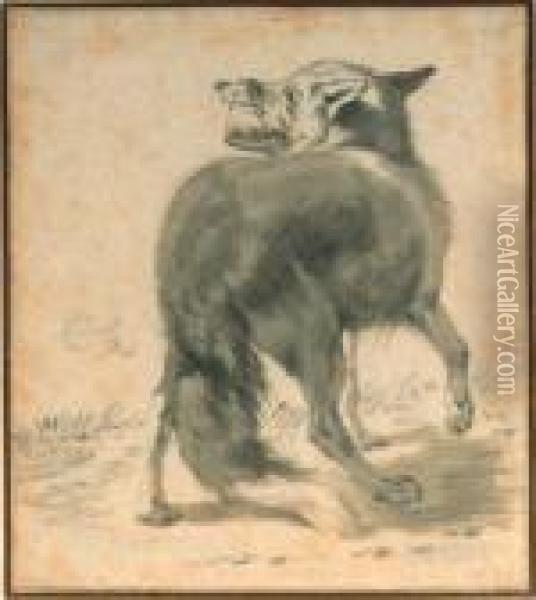 Study Of A Wolf, Seen From Behind Oil Painting - Cornelis Saftleven