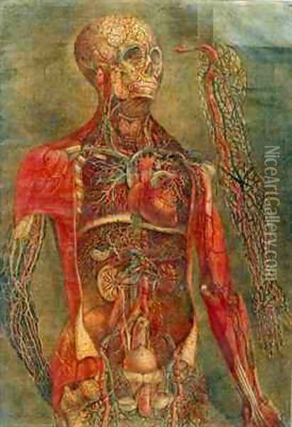 Internal organs of the body Oil Painting - Jacques - Fabien Gautier - Dagoty