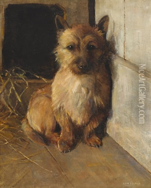 A Cairn Terrier In A Kennel Oil Painting - Samuel Fulton