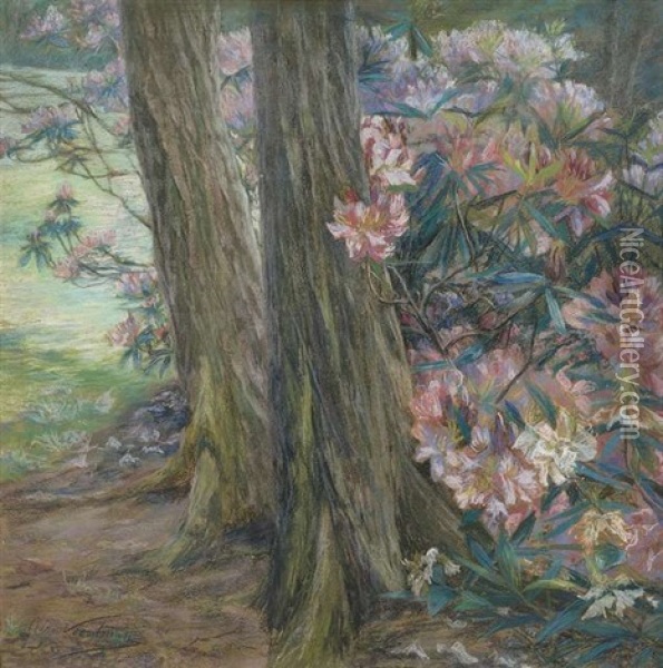 Rhododendronbusch In Einem Garten Oil Painting - Clara Voortman