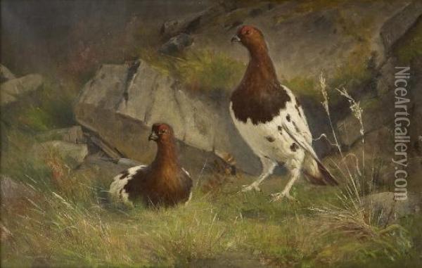 Ryper Oil Painting - Jacob A. Julius Holck