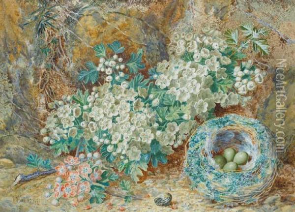 Birds Nest And Wild Flowers Oil Painting - Thomas Collier