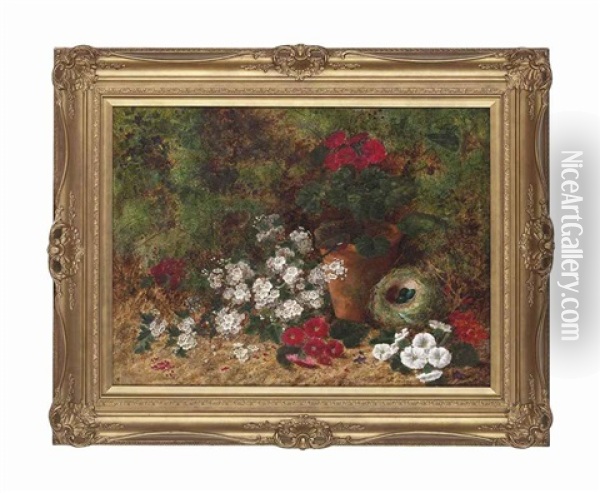 Flowers And A Bird's Nest On A Mossy Bank Oil Painting - Oliver Clare