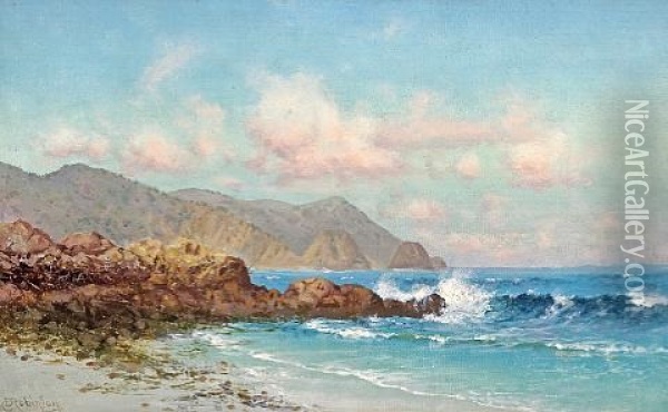 A Coastal View Oil Painting - Charles Dorman Robinson