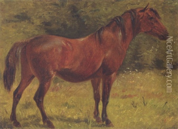 En Rodbrun Hest Pa En Graesmark Oil Painting - Simon Simonsen