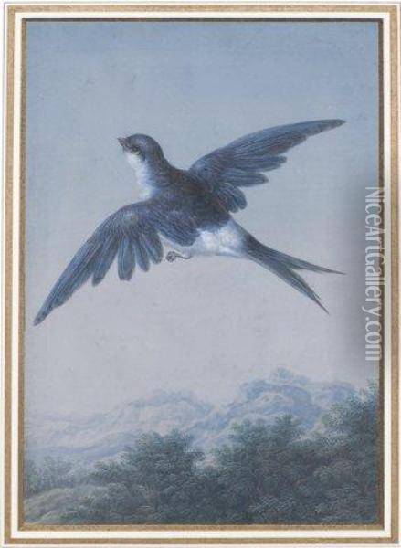 Oiseau En Vol Au Dessus D'un Paysage Demontagne Oil Painting - Christophe-Ludwig Agricola
