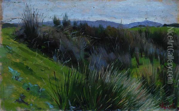 Paesaggio Consterpaglie Oil Painting - Luigi Gioli