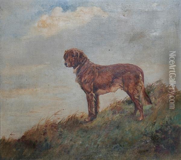 A Golden Retriever Standing In Long Grass Oil Painting - Thomas Ivester Lloyd