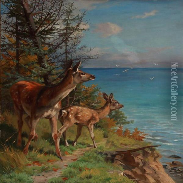 Two Deer At A Cliff Oil Painting - Adolf Henrik Mackeprang