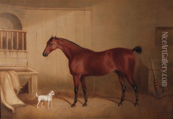 Stallinneres Mit Rennpferd Und Hund Oil Painting - David (of York) Dalby