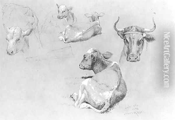 Studies of Cows and Calves Oil Painting - James McDougal Hart