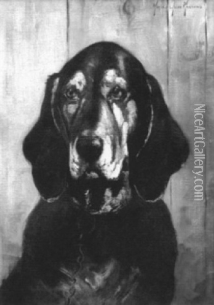 Bloodhound Head Study Oil Painting - Marie Guise Newcomb