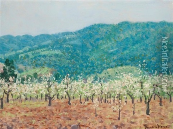Orchard In The Mountains Of Saratoga, California Oil Painting - Theodore Wores