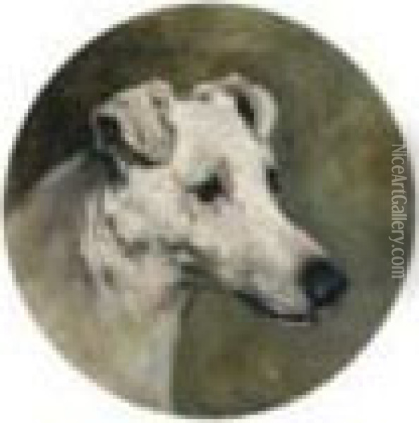 A Fox Terrier Oil Painting - John Emms